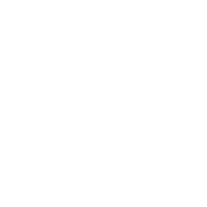 American Professional Manufacturing
